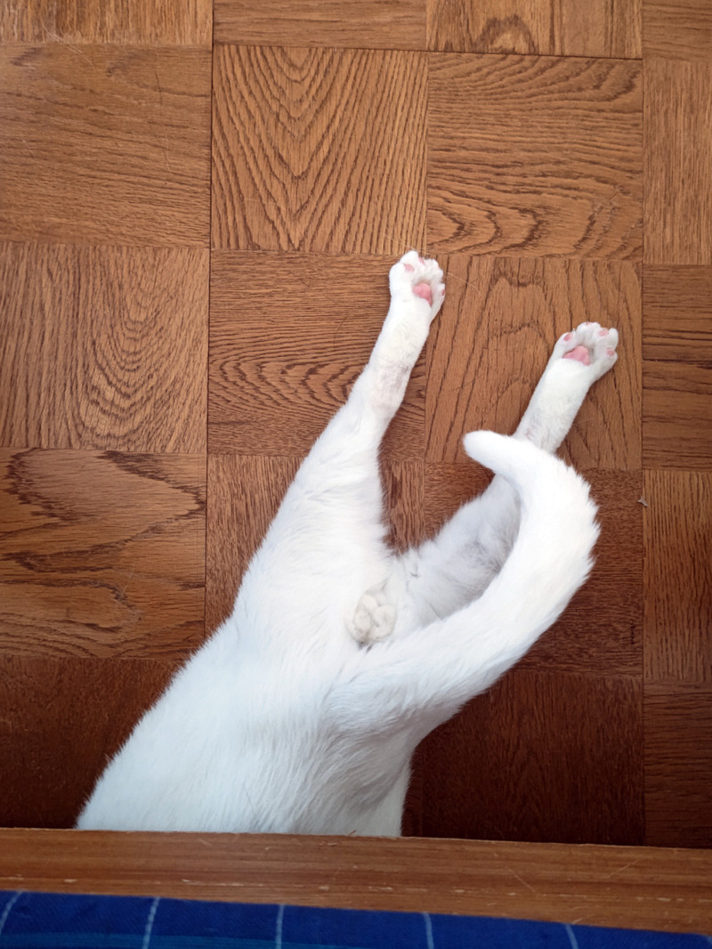 l8257