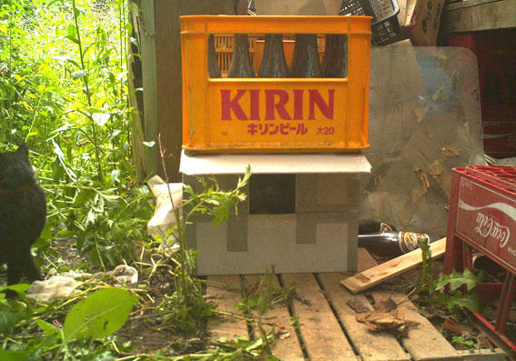 うちのとらまる