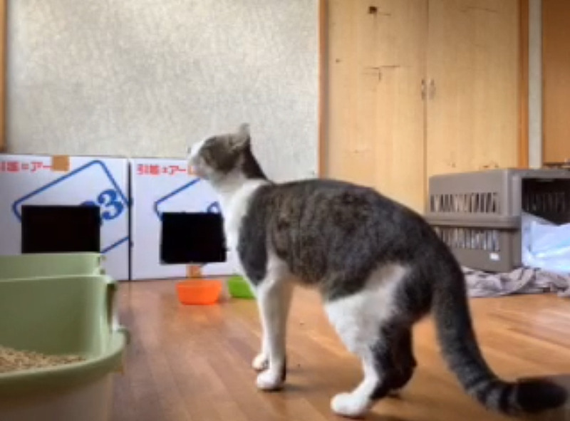 チビ01