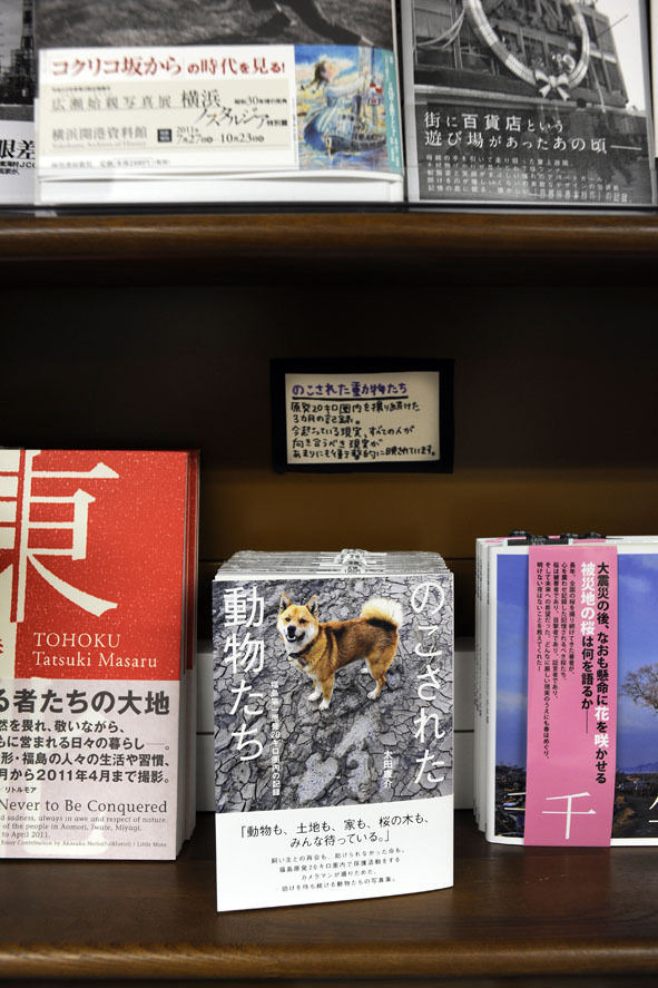 うちのとらまる