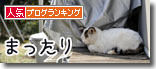 うちのとらまる