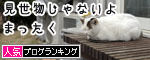 うちのとらまる