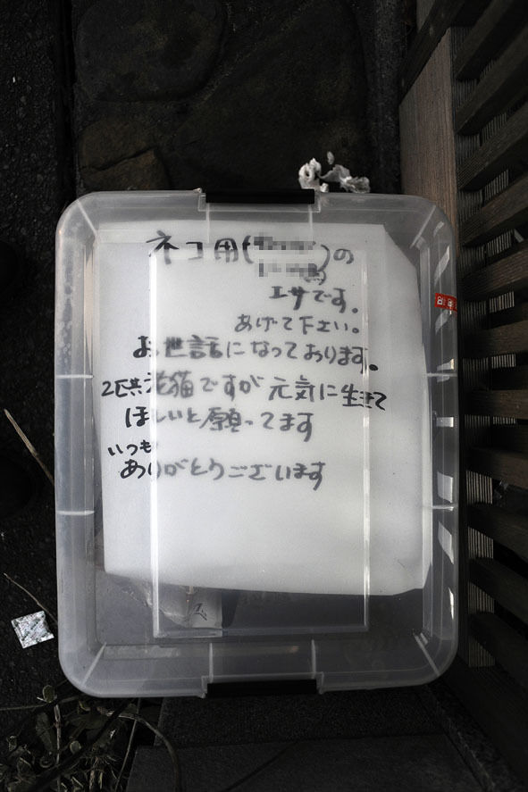 うちのとらまる