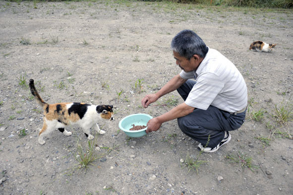 うちのとらまる