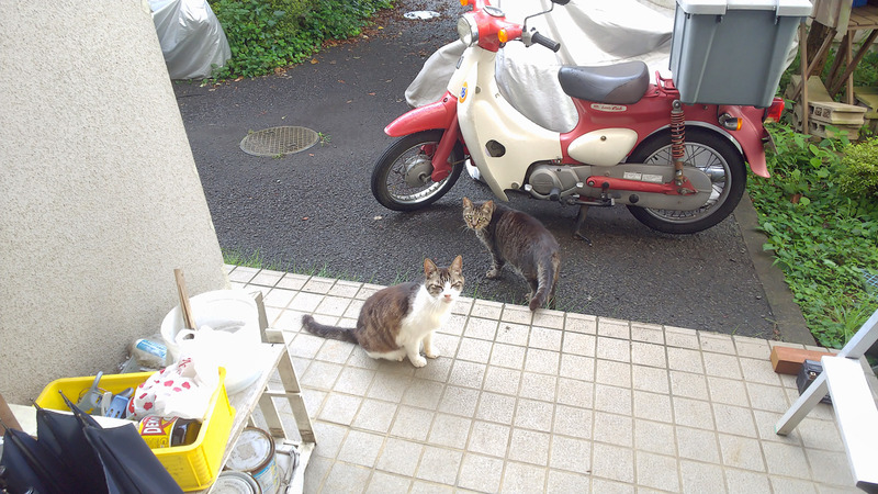 l200801_070932_00018563