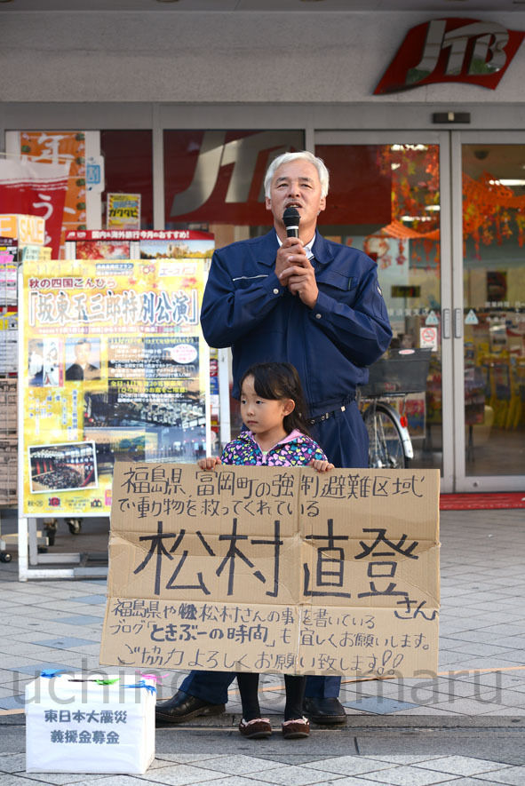 $うちのとらまる