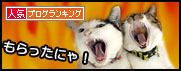 うちのとらまる