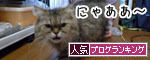 うちのとらまる
