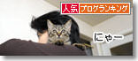 うちのとらまる