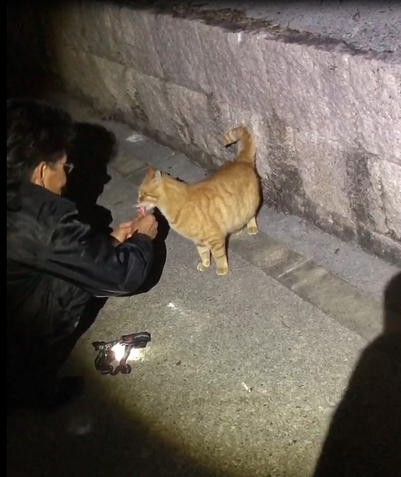 l帰ってきたテル