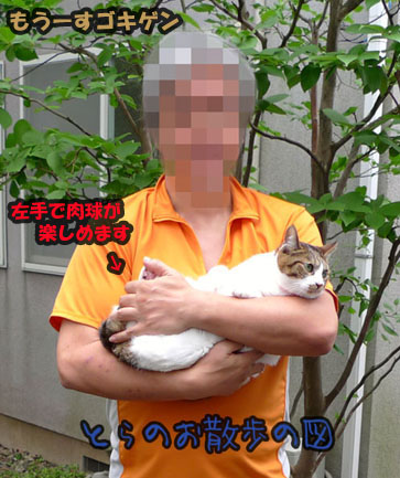 うちのとらまる