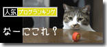 うちのとらまる