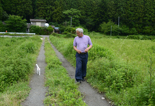 うちのとらまる