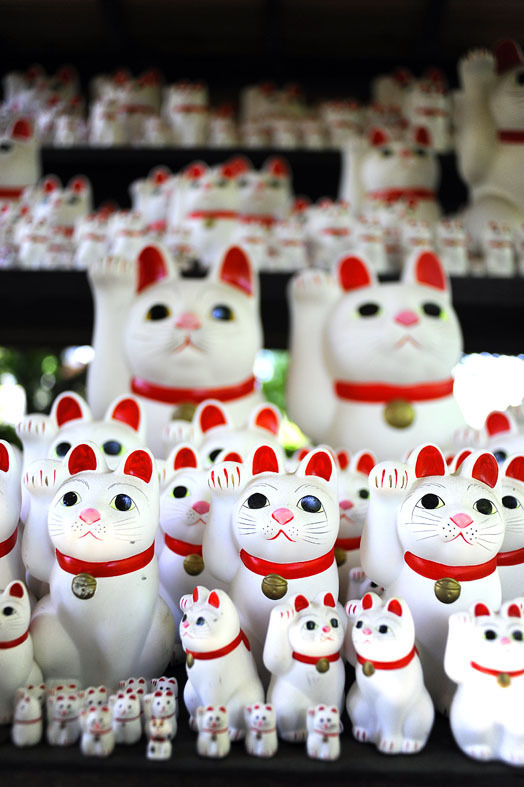 うちのとらまる