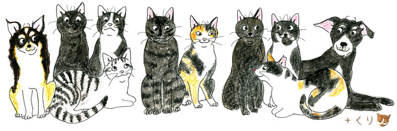 llTシャツプリント用これを使用します