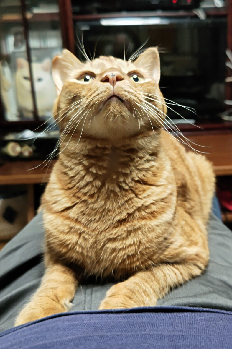 l20230720184733803_COVER