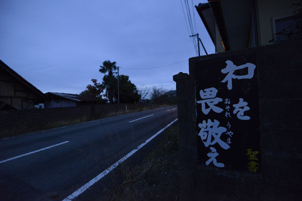 うちのとらまる