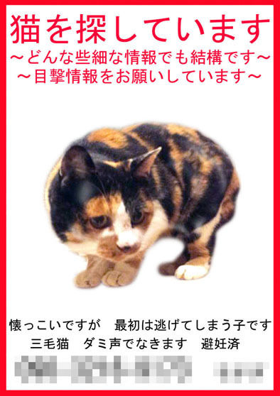 うちのとらまる
