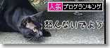 うちのとらまる