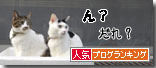 うちのとらまる