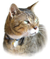 スモール文太02