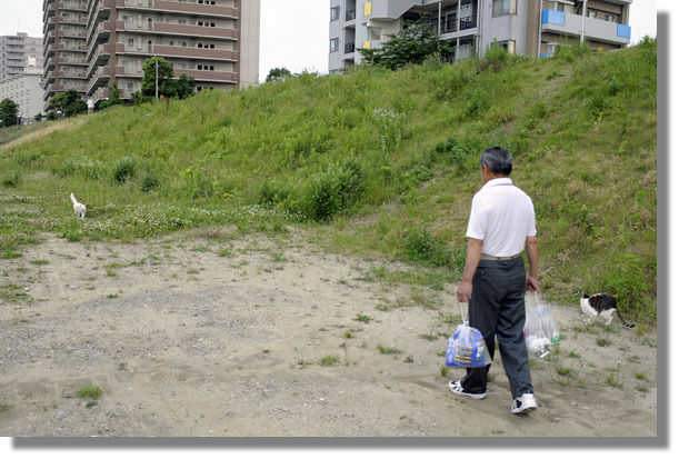 うちのとらまる