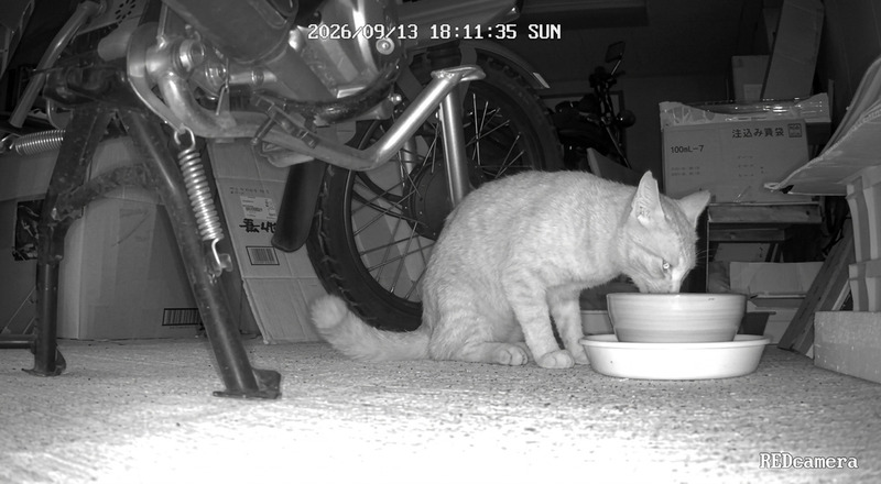 ll3u3uep3u3uep3u3u
