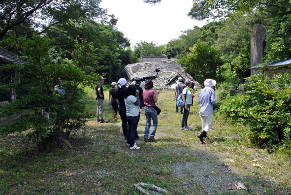 うちのとらまる