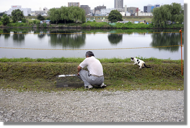 うちのとらまる
