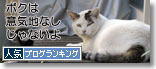 うちのとらまる
