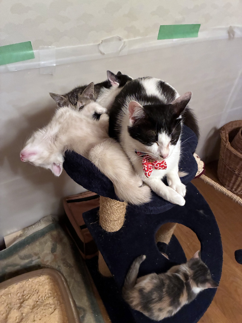 l892AEA38-96EA-4337-869F-59BF661915D6