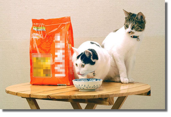 うちのとらまる