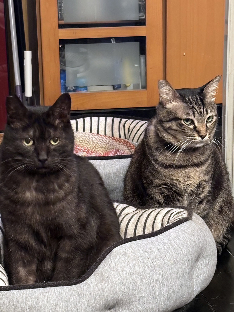 l64798796_0