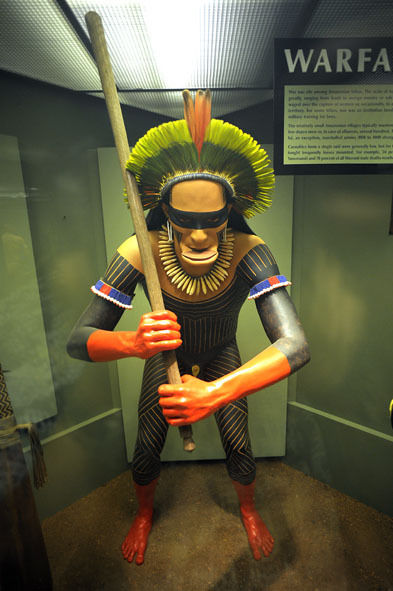 うちのとらまる