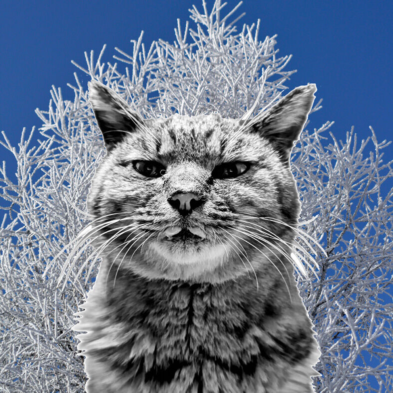 lwinter01