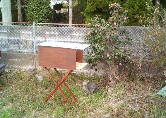 うちのとらまる