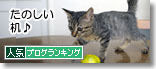 うちのとらまる