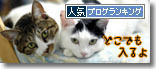 うちのとらまる