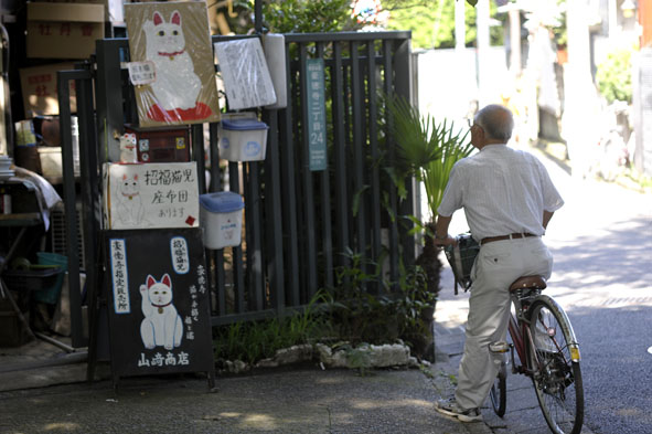 うちのとらまる