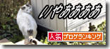 うちのとらまる
