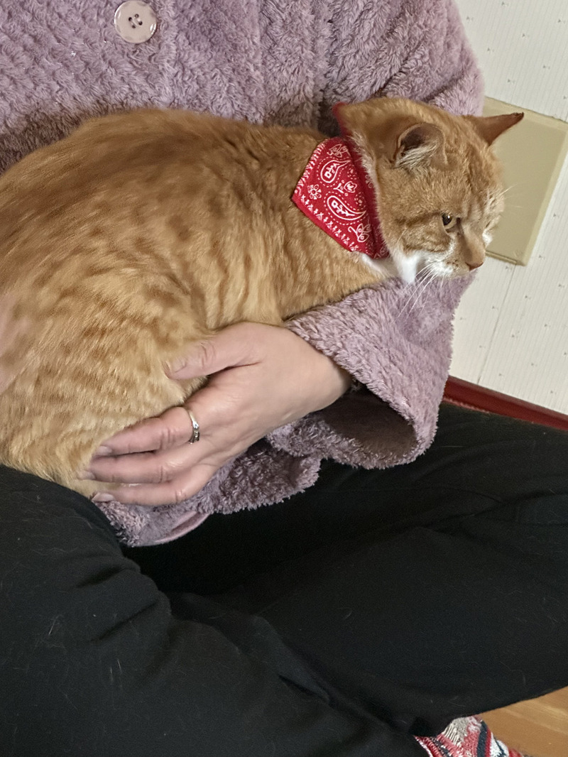 lE73A227F-FB55-4427-8576-11535A320312