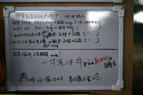 うちのとらまる