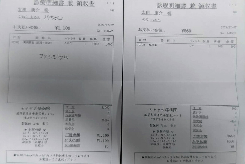 lノリちゃん検便コクシ