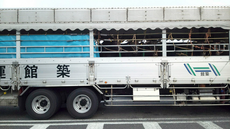 l6518185740435