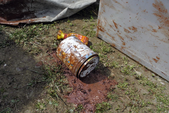 うちのとらまる