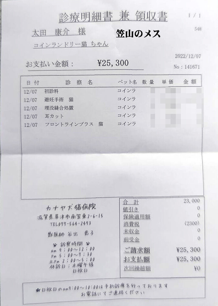 l義隆ちゃんちメス
