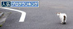 うちのとらまる