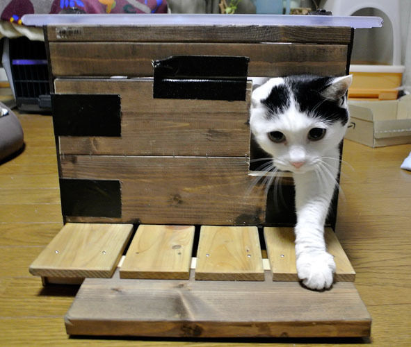 うちのとらまる