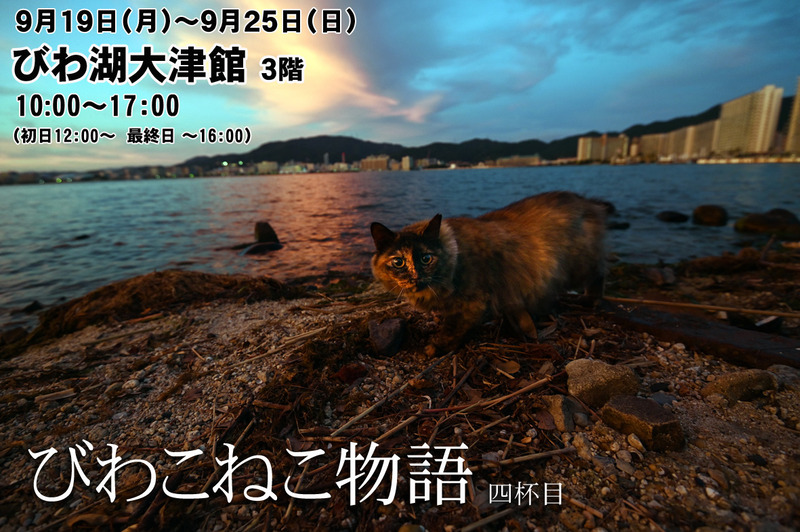 lフサ子タイトルポスター角