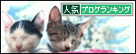 うちのとらまる